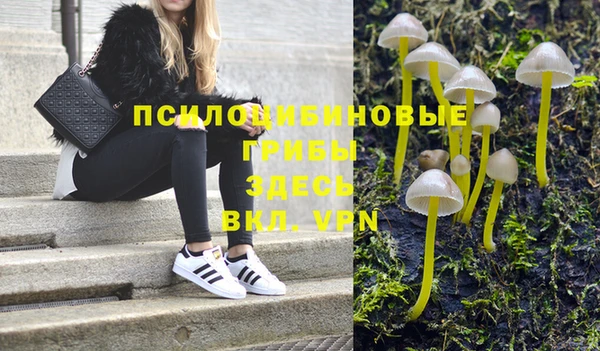 гидропоника Магадан