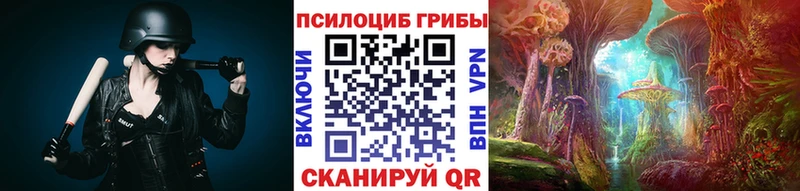 купить закладку  Суоярви  Псилоцибиновые грибы GOLDEN TEACHER 